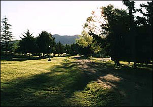 Una vista del parque arbolado.