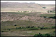 Plantacin de ciruelos, vista desde el cerro Blanco.