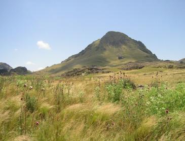 Cerro de los lamos.