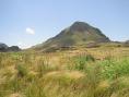 Cerro de los lamos.