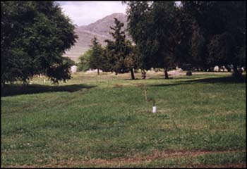 Vista de los cerros al oeste del parque.