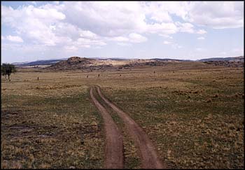 Paisaje antes de la forestacin, ao 1998.