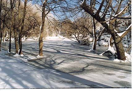 Laguna de Las Carpas helada.