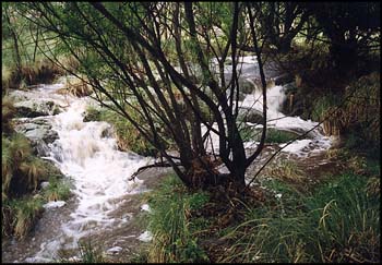 El arroyo de la esquina.