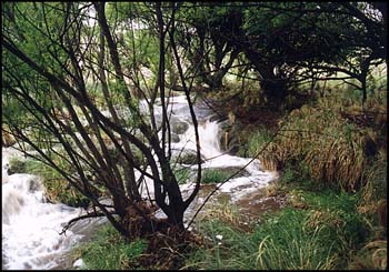 Arroyos y rocas.