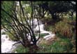 Arroyos y rocas.