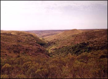 Vista en otoo.